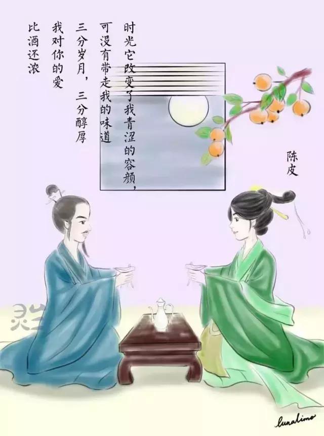 你的心安，是因为我的陪伴(美哭了的图画版中药情书)